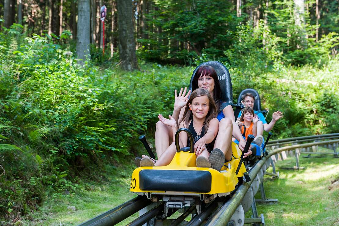Sommerrodelbahn Harzbob 1