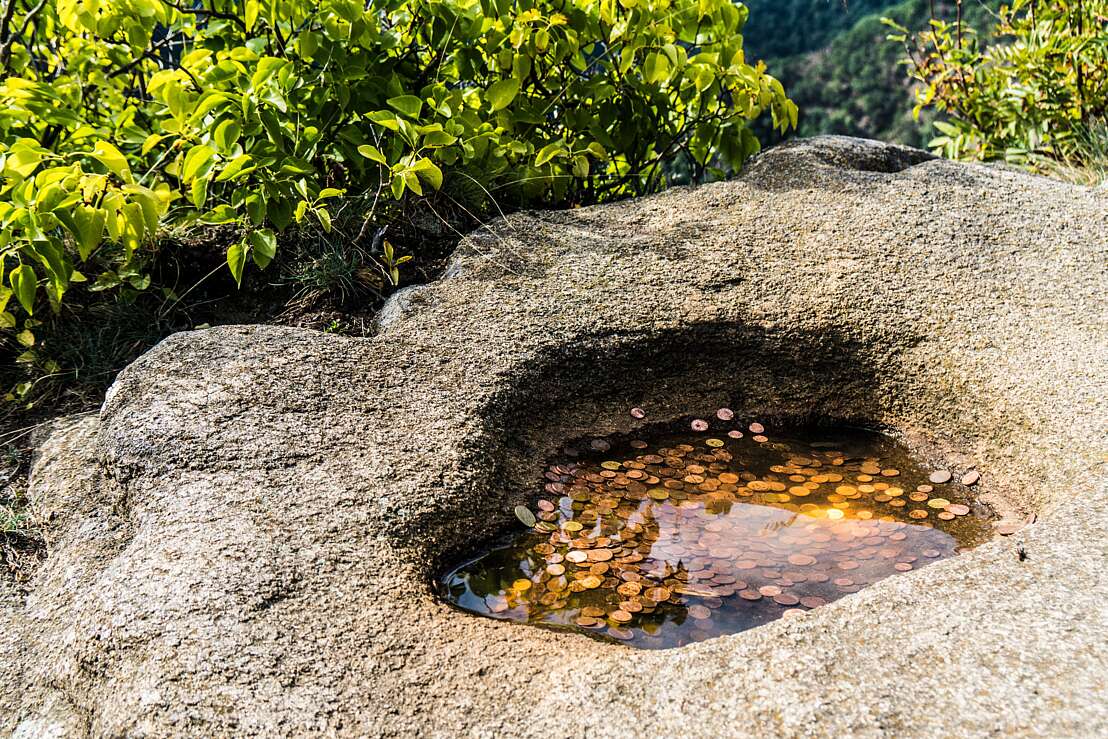 Rosstrappe Hufabdruck