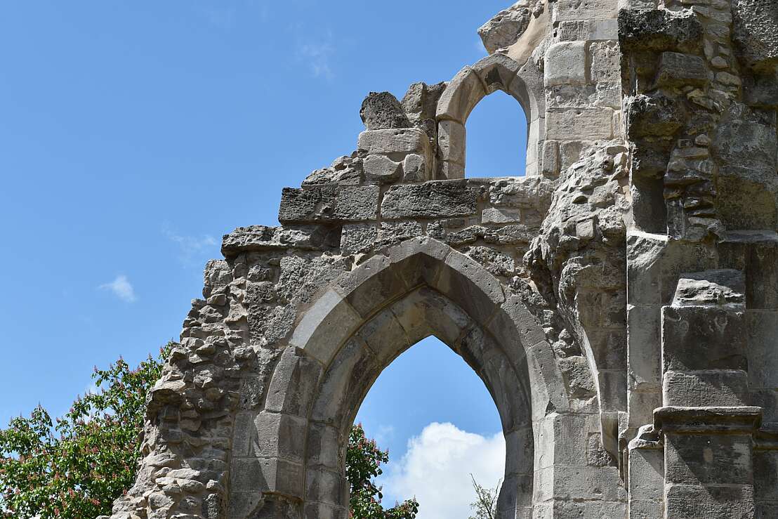 Klosterruine Walkenried, Detail