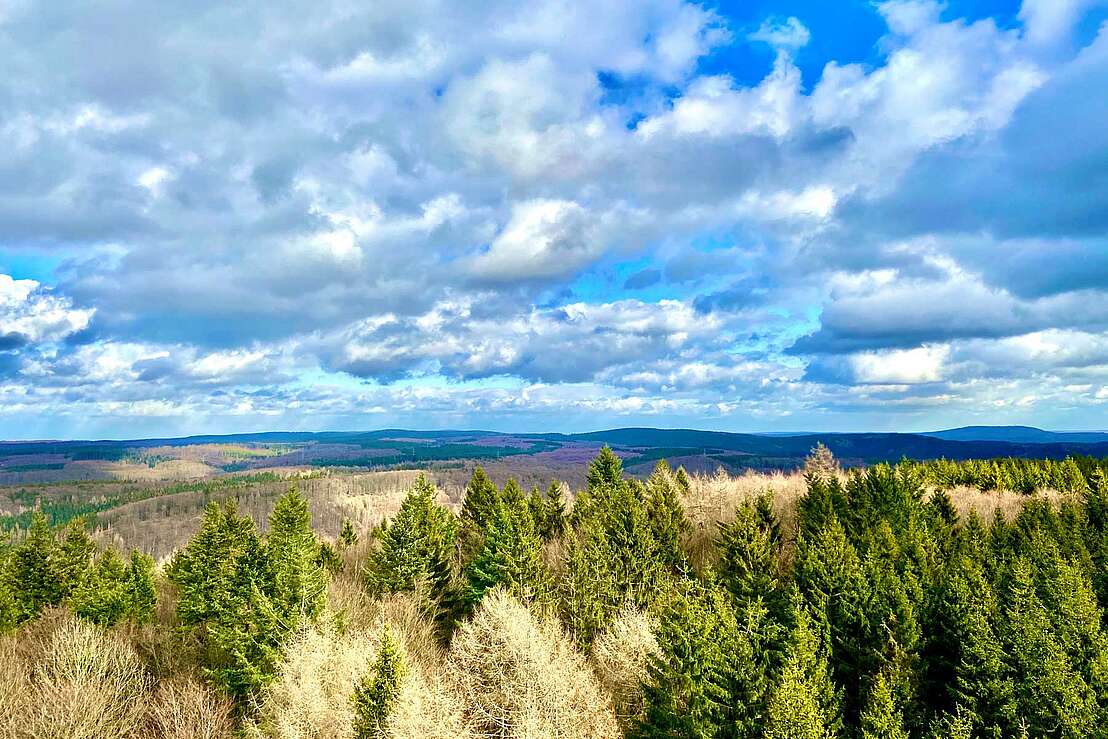Aussicht vom Poppenbergturm