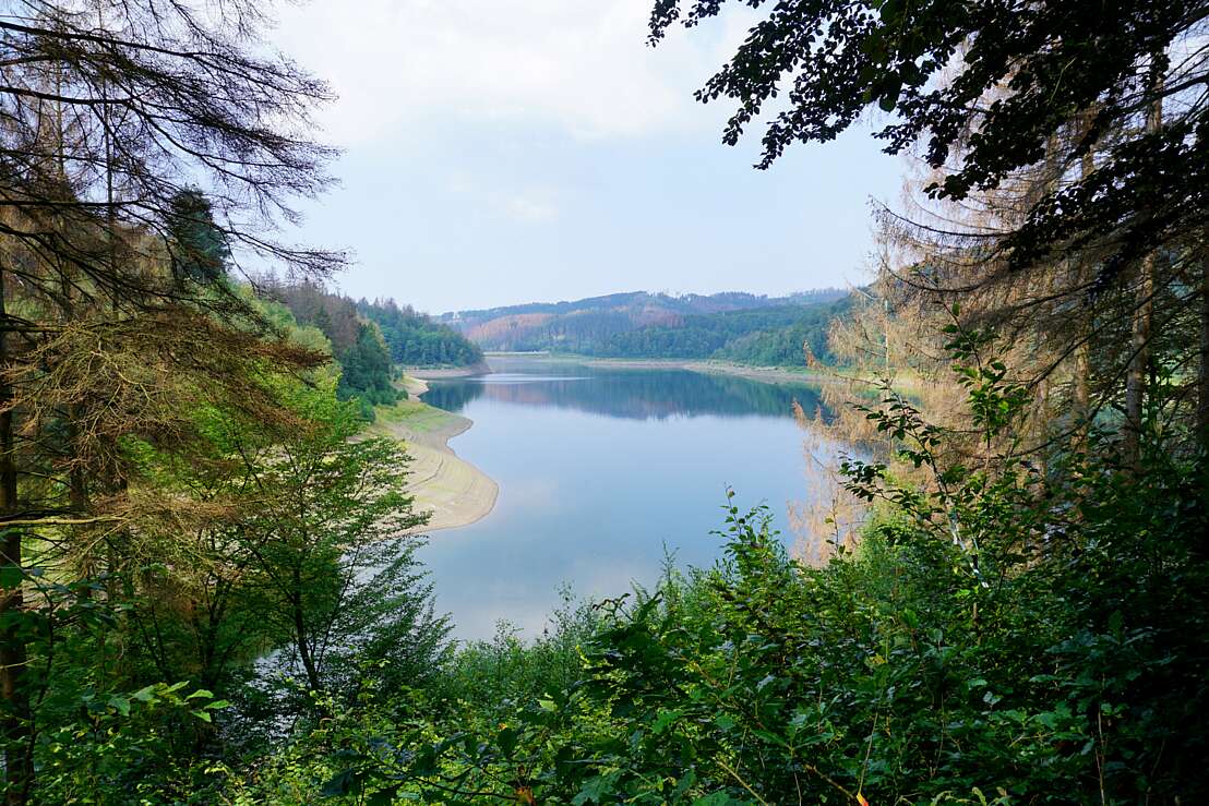 Blick aus dem Wald auf die Sösetalsperre