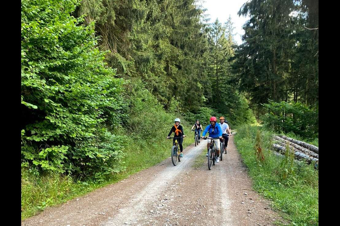 Harzer E-Bike Verleih