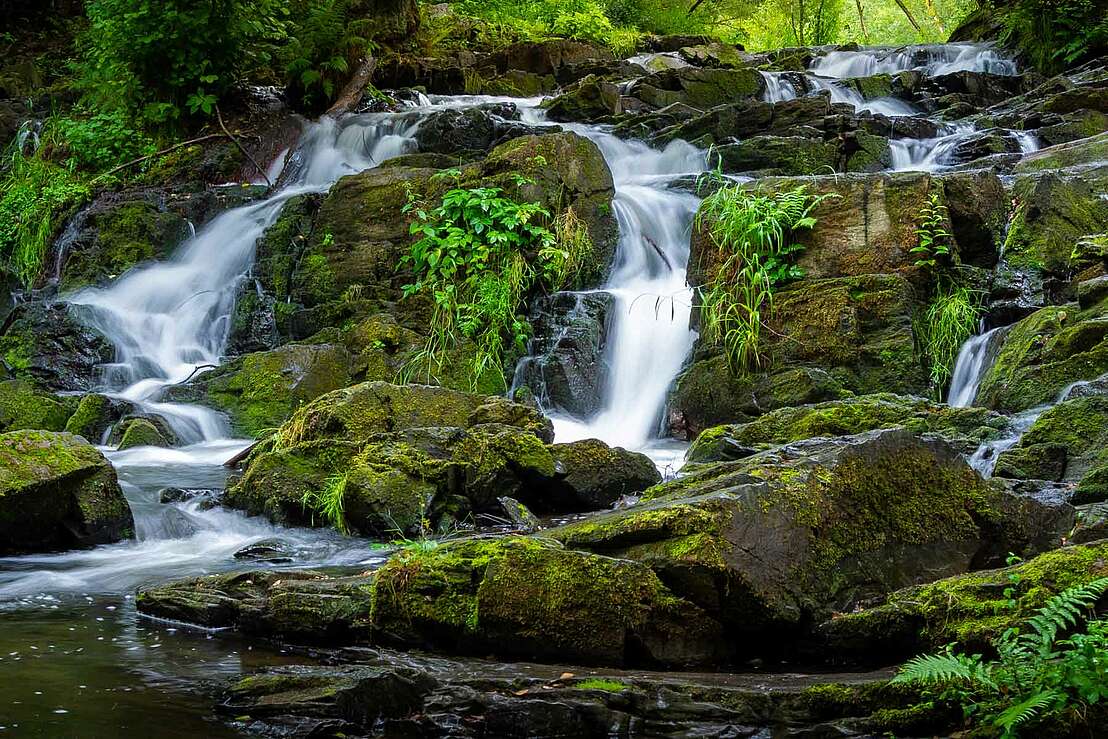 Wasserfall im Selketal