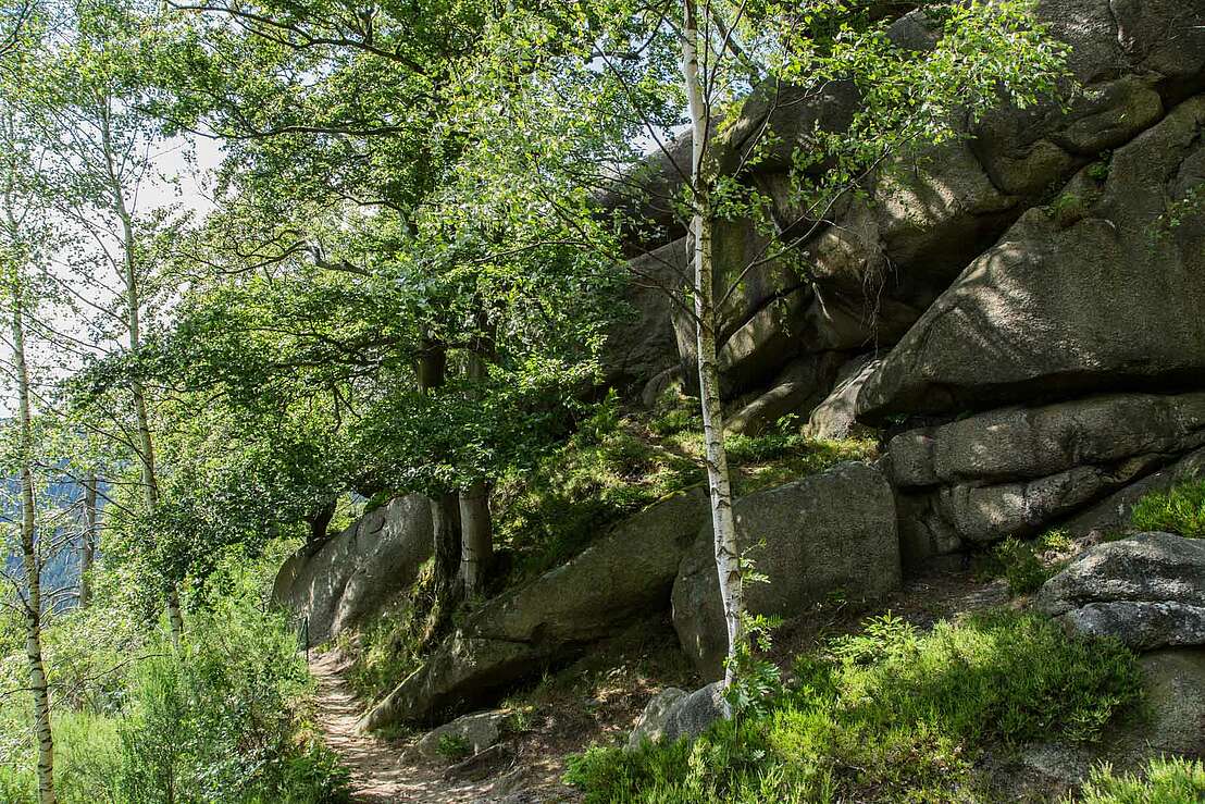 Natur am Treppenstein