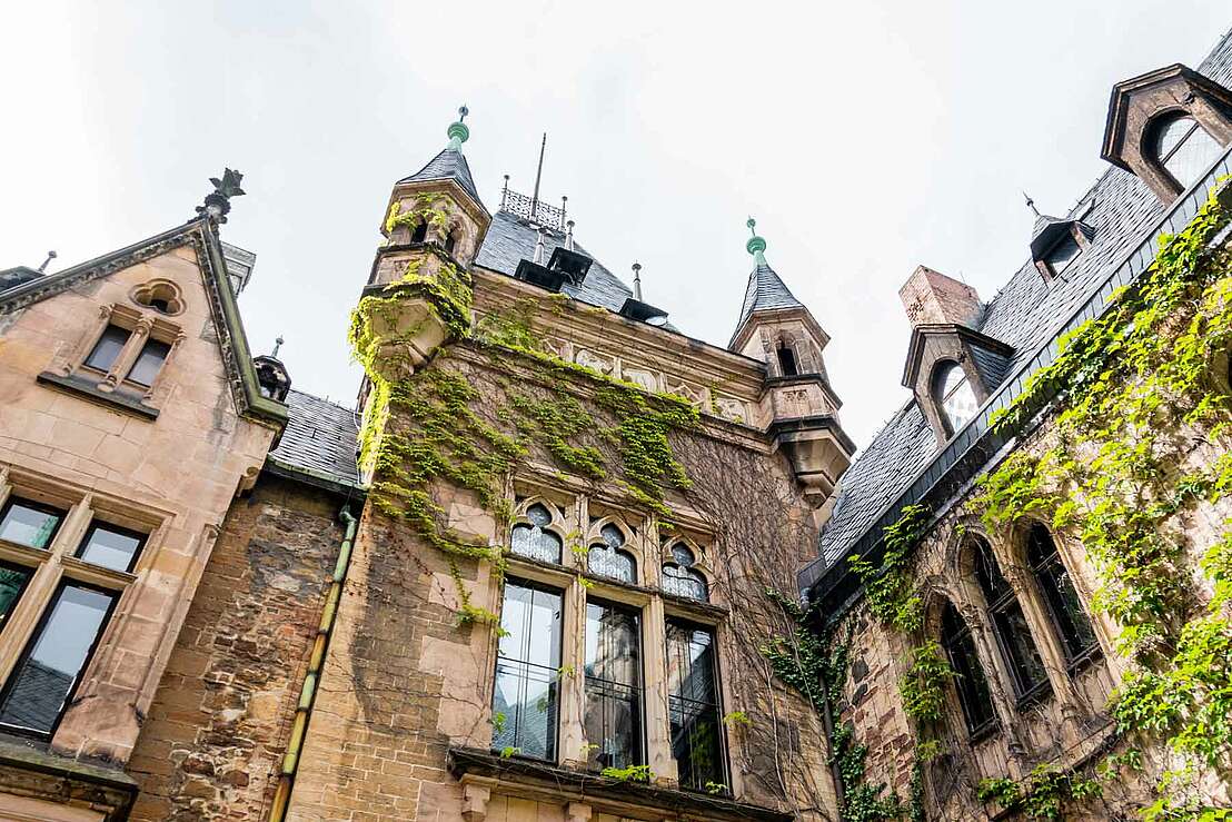 Weinlaub an der Fassade im Innenhof