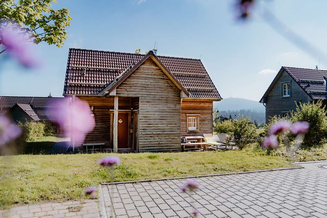 Blick auf unsere Premium Lodge Plus im Sommer