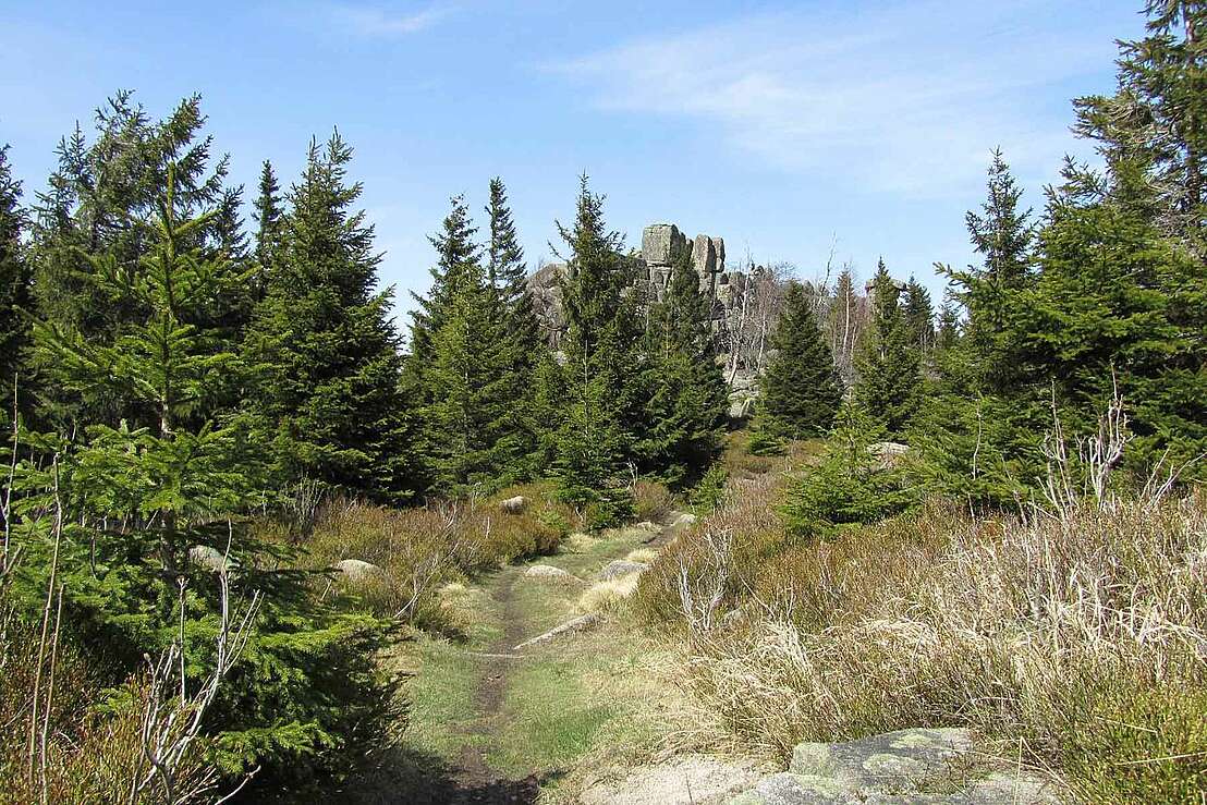 Wanderweg kurz vor der oberen Zeterklippe © Dirk Schmidt CC BY-SA 2.5 Deed