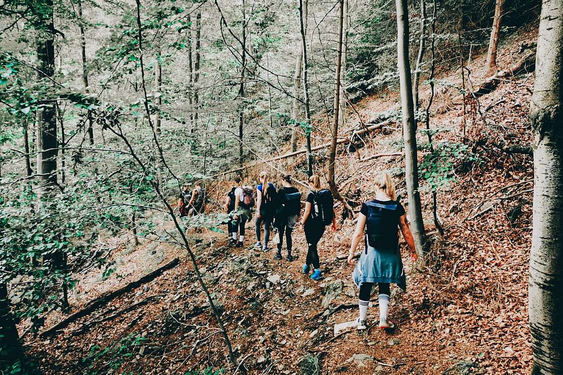 Achtsames Wandern mit allen Sinnen