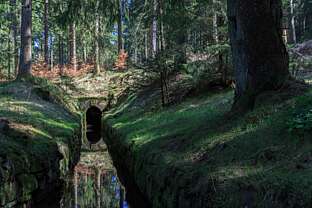 Oberharzer Wasserläufe