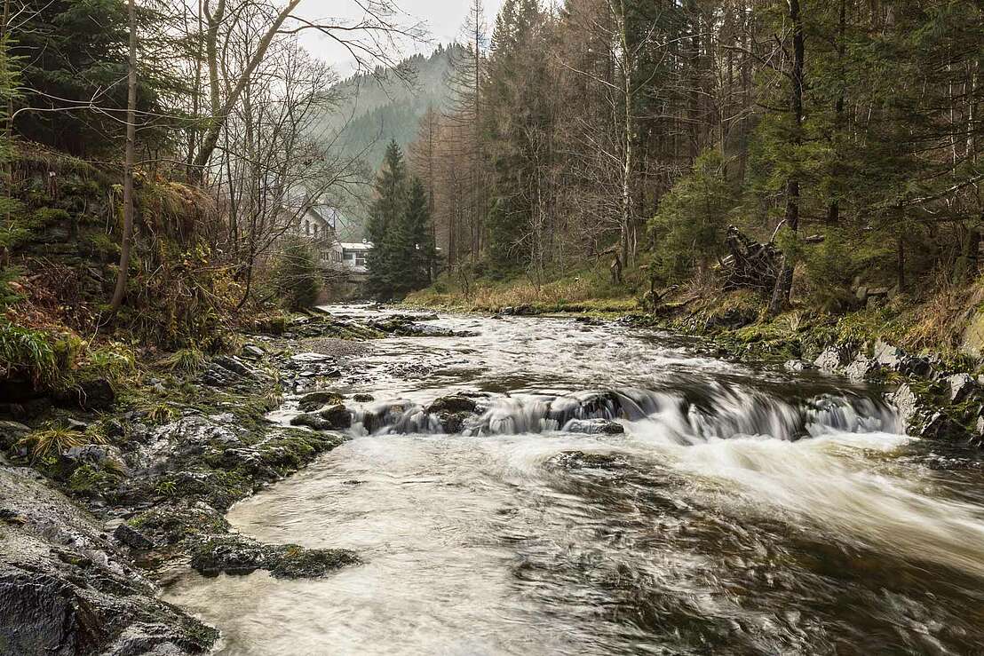 Die Oker am Jagdschloss Romkerhall