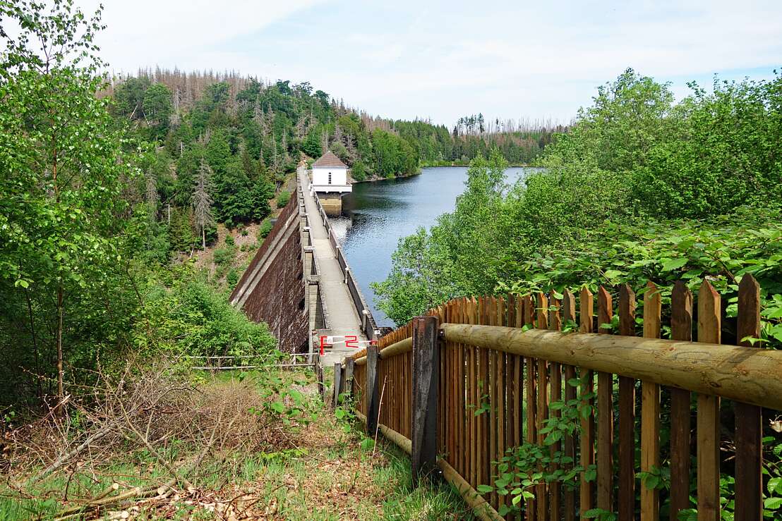 Staumauer der Eckertalsperre
