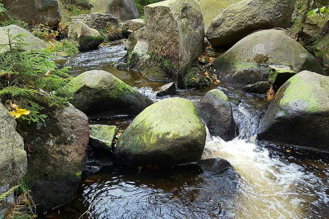 Von der kleinen Romke zur Oker