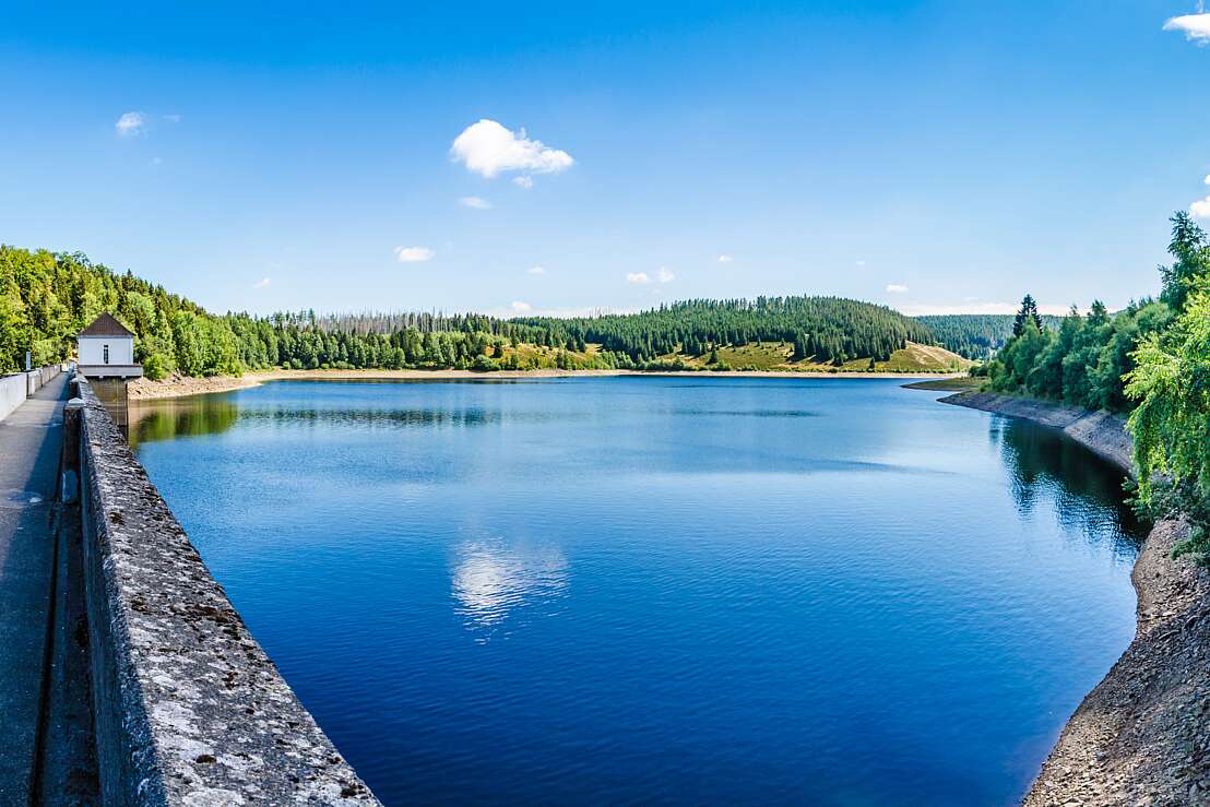 Eckertalsperre im Sommer