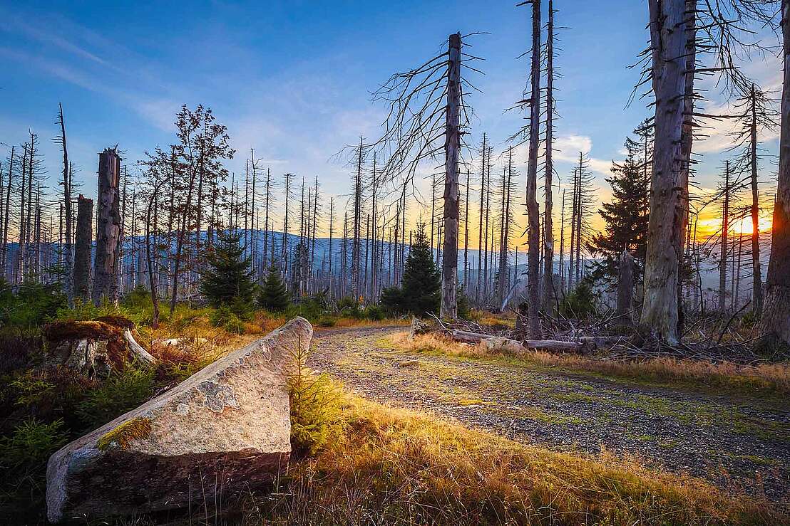 Wanderung zum Achtermann