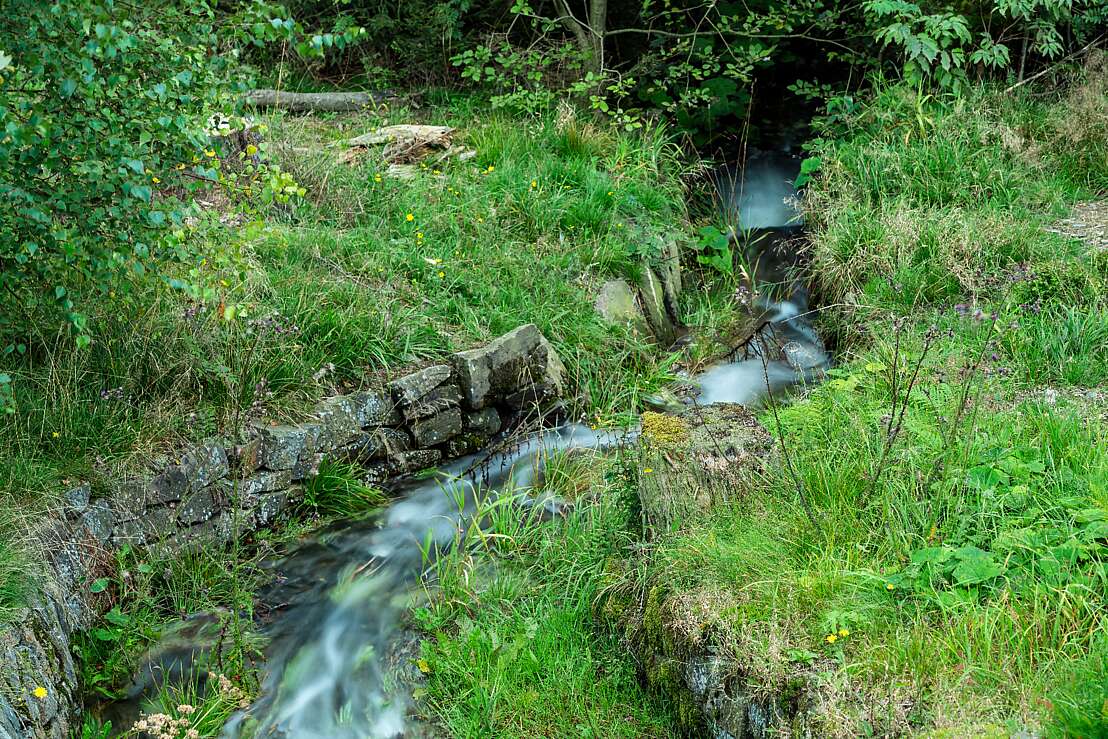 Kleiner Wiesenbach