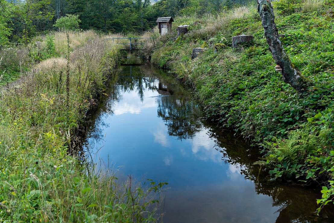 Alter Dammgraben bei Clausthal-Zellerfeld