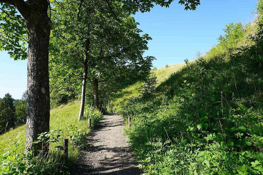 Wanderweg zur Steinkirche