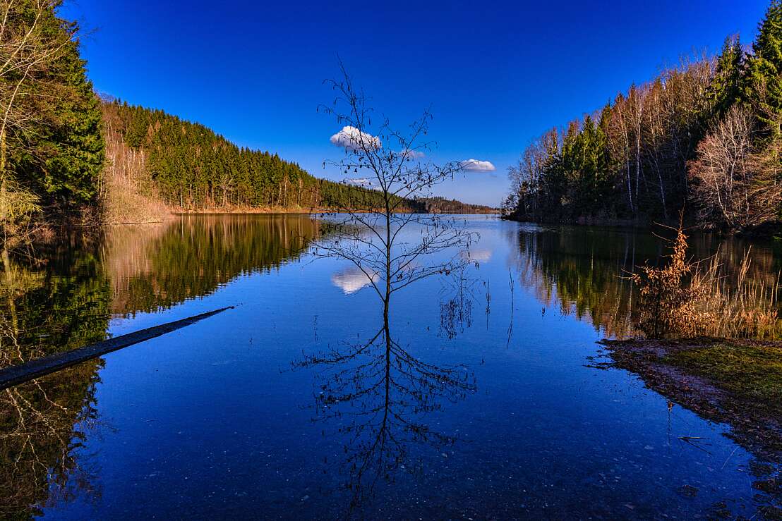 Granestausee bei Goslar