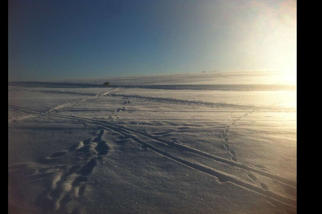 Auf der Loipe in 3 Minuten