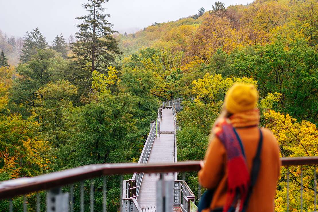 Baumwipfelpfad im Herbst