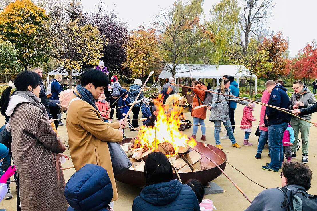 Lagerfeuer Lagerfeuer