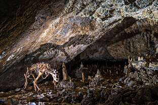 "Bärenfriedhof" in der Baumannshöhle Rübeland.