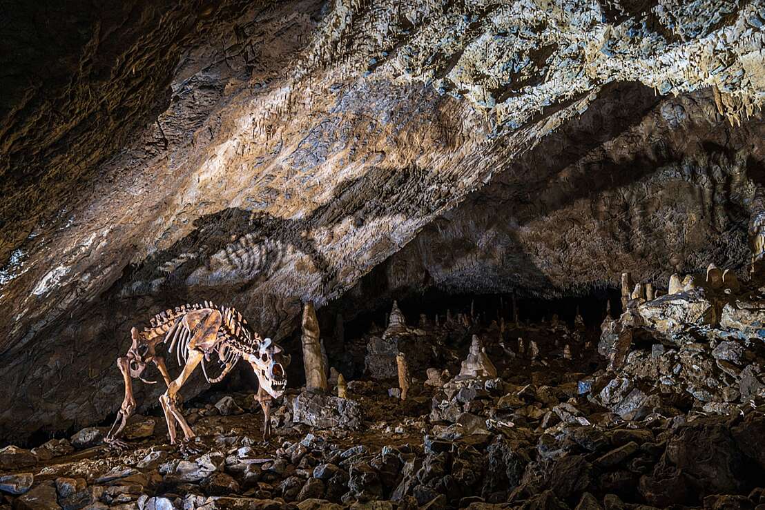 "Bärenfriedhof" in der Baumannshöhle Rübeland.