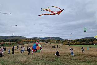 Drachenfest