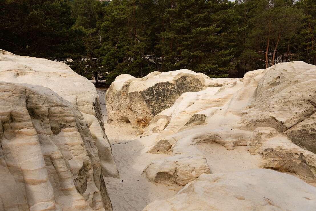 Sandsteinformation im Kiefernwald bei Blankenburg