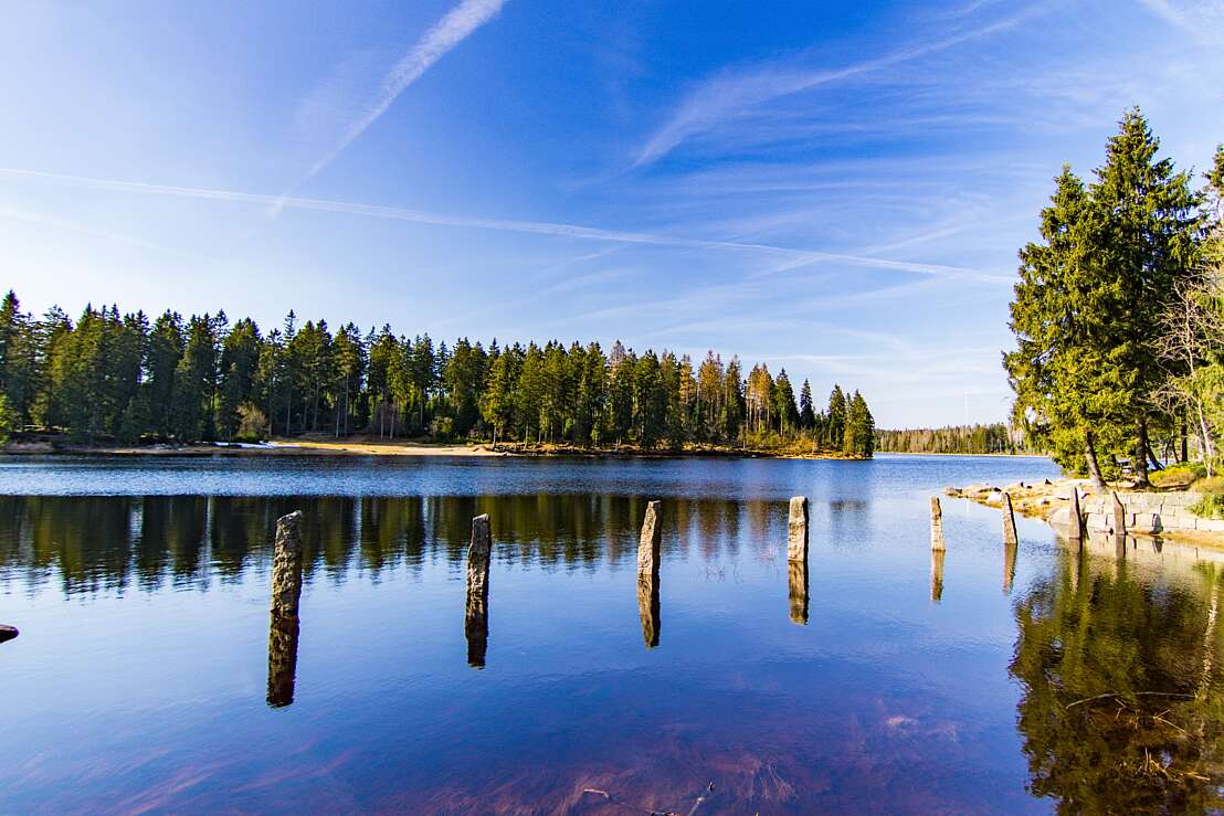 Oderteich Wasseroberfläche