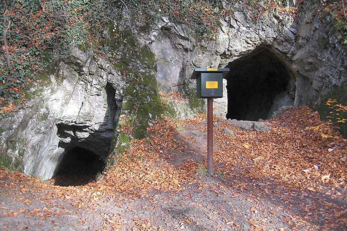 Volkmarskeller 2011 - © Bermicourt CC BY-SA 3.0 Deed