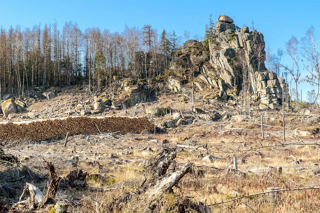 Ottofelsen mit Stangenholz