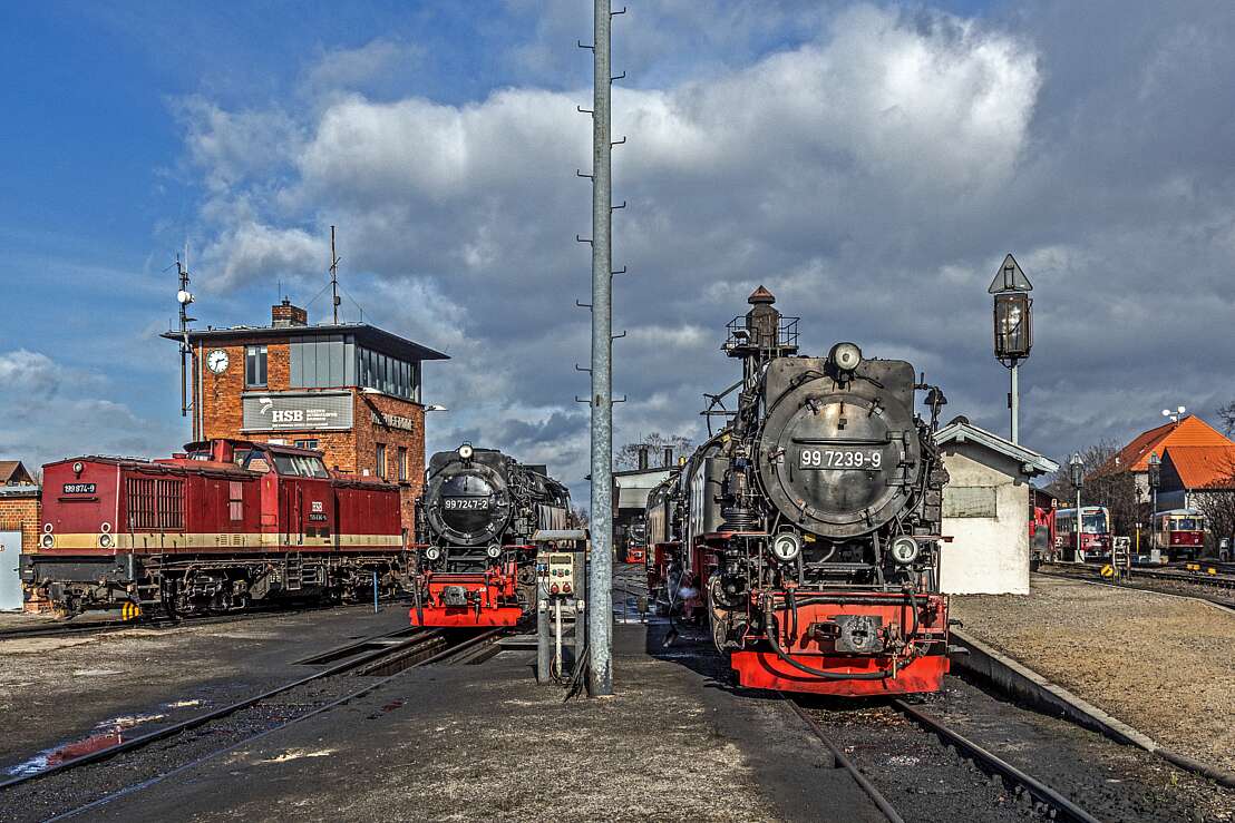 Diesellok, Dampfloks und Triebwagen