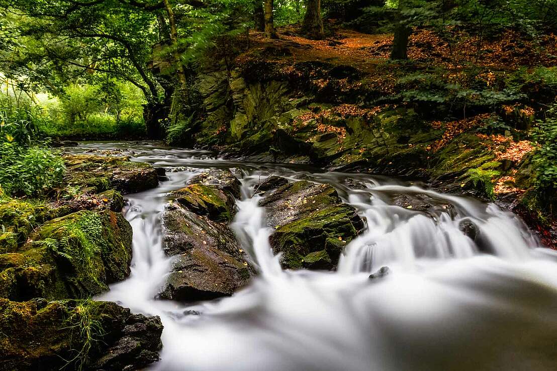Selke im Harz - Langzeitbelichtung