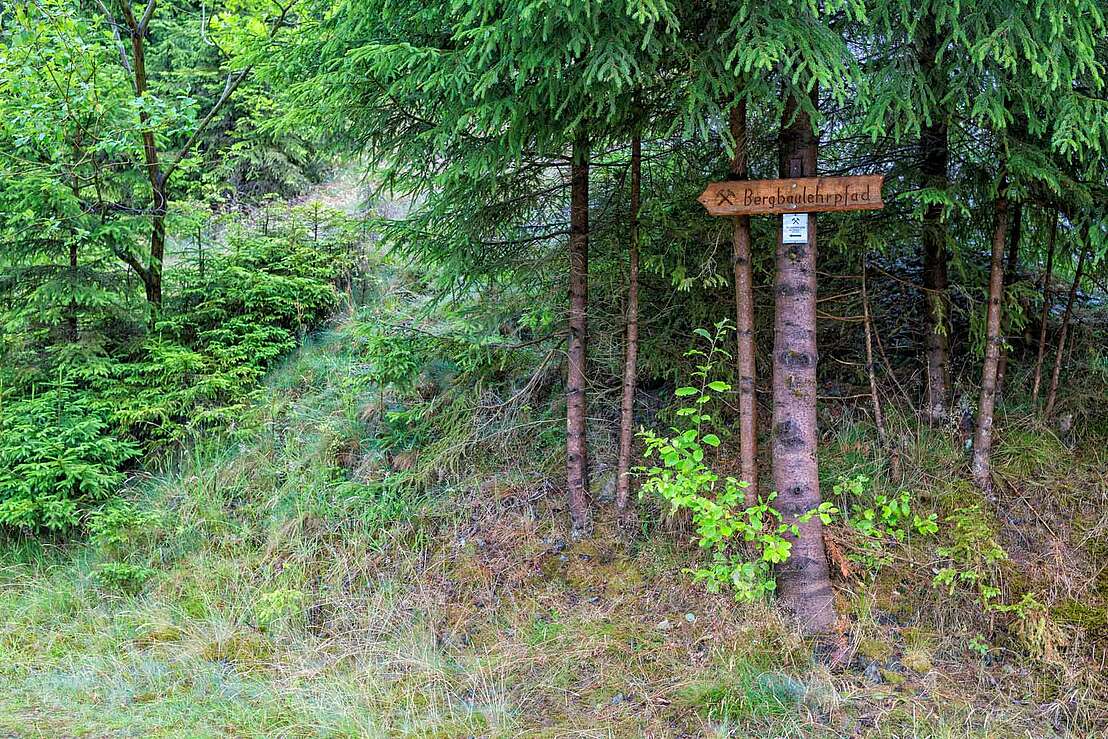 Bergbaulehrpfad Lautenthal