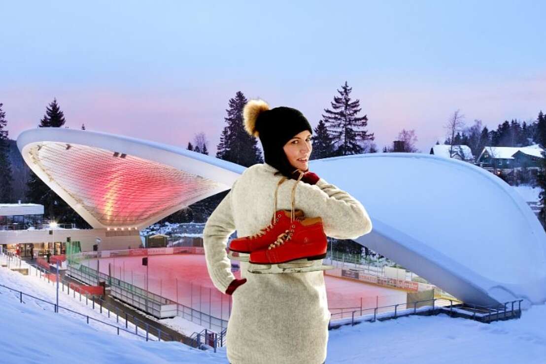 Schierker Feuerstein Arena