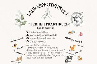 Flyer - Probleme bei deinem Hund ? Flyer - Probleme bei deinem Hund ?