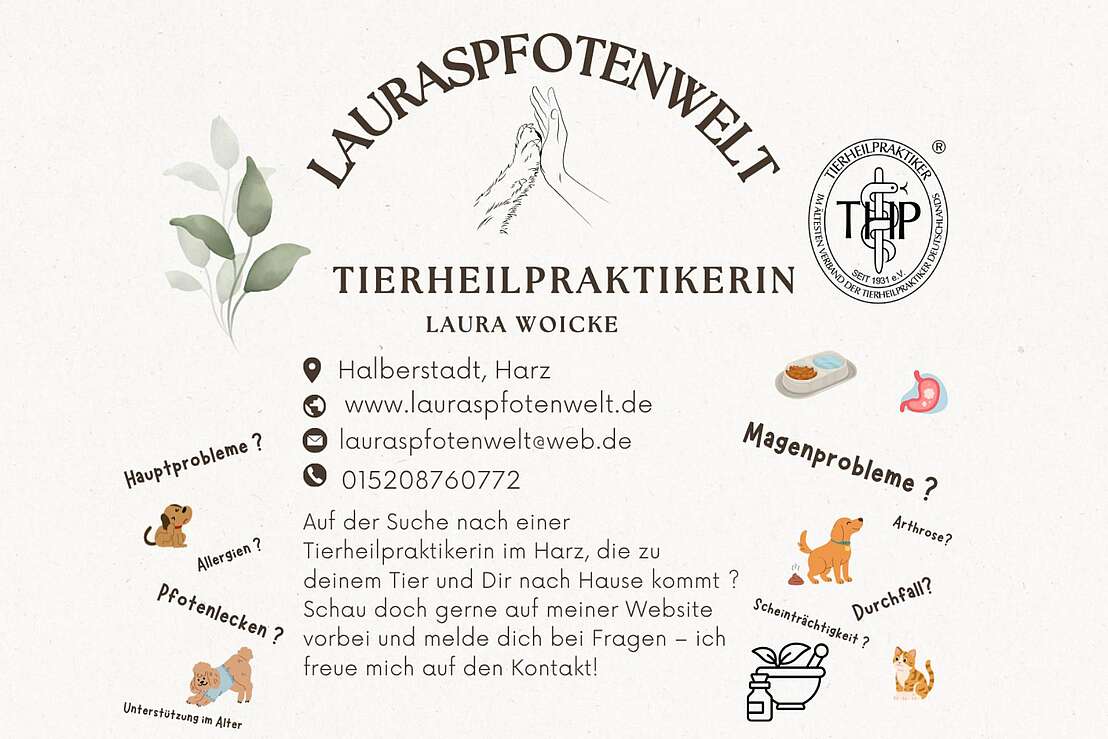 Flyer - Probleme bei deinem Hund ? Flyer - Probleme bei deinem Hund ?