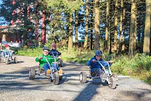 Bocksbergcarts (Mountaincarts)