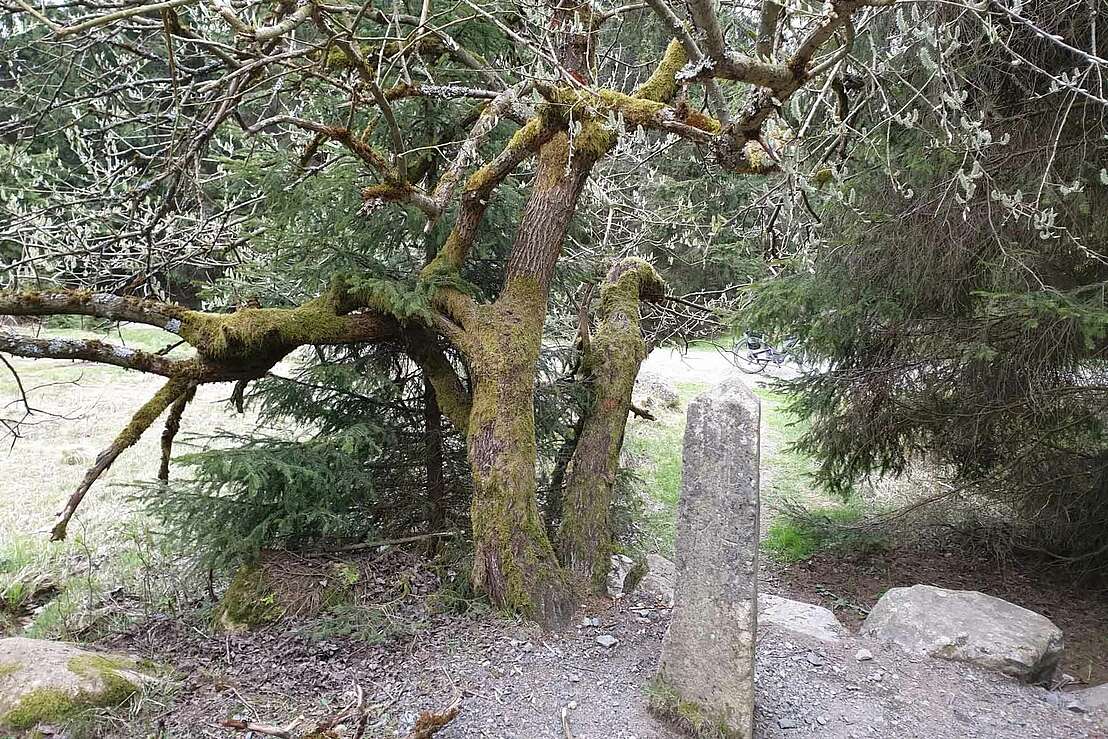 Dreieckiger Pfahl - © Gabriele / komoot