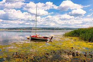 Segelboot auf dem Stausee Kelbra