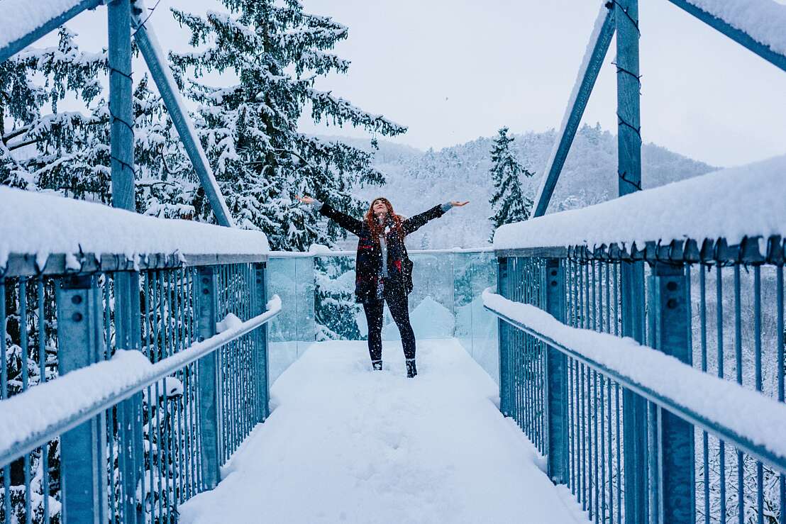 Baumwifpelpfad im Winter, Nordstadtlicht