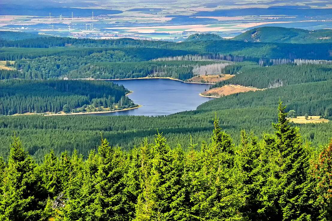 Die Eckertalsperre in der Harzer Mittelgebirgslandschaft