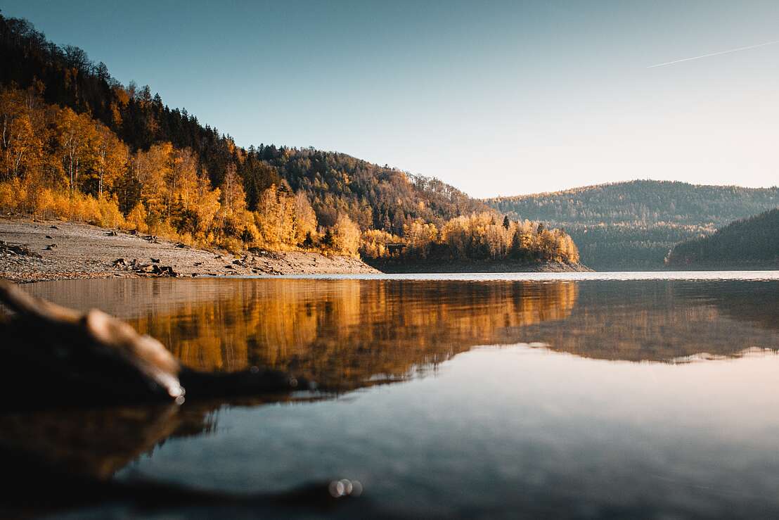 Herbstwald am Ufer der Granetalsperre