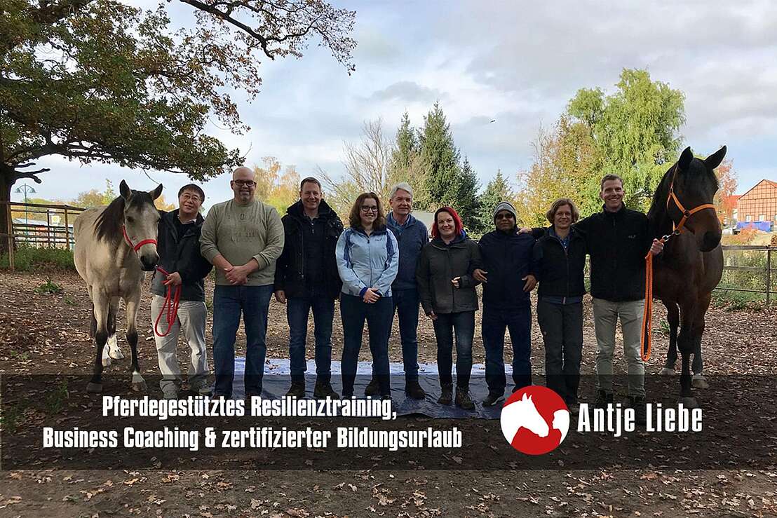 pferdegestütztes Führungskräftetraining - einzeln oder in der Gruppe