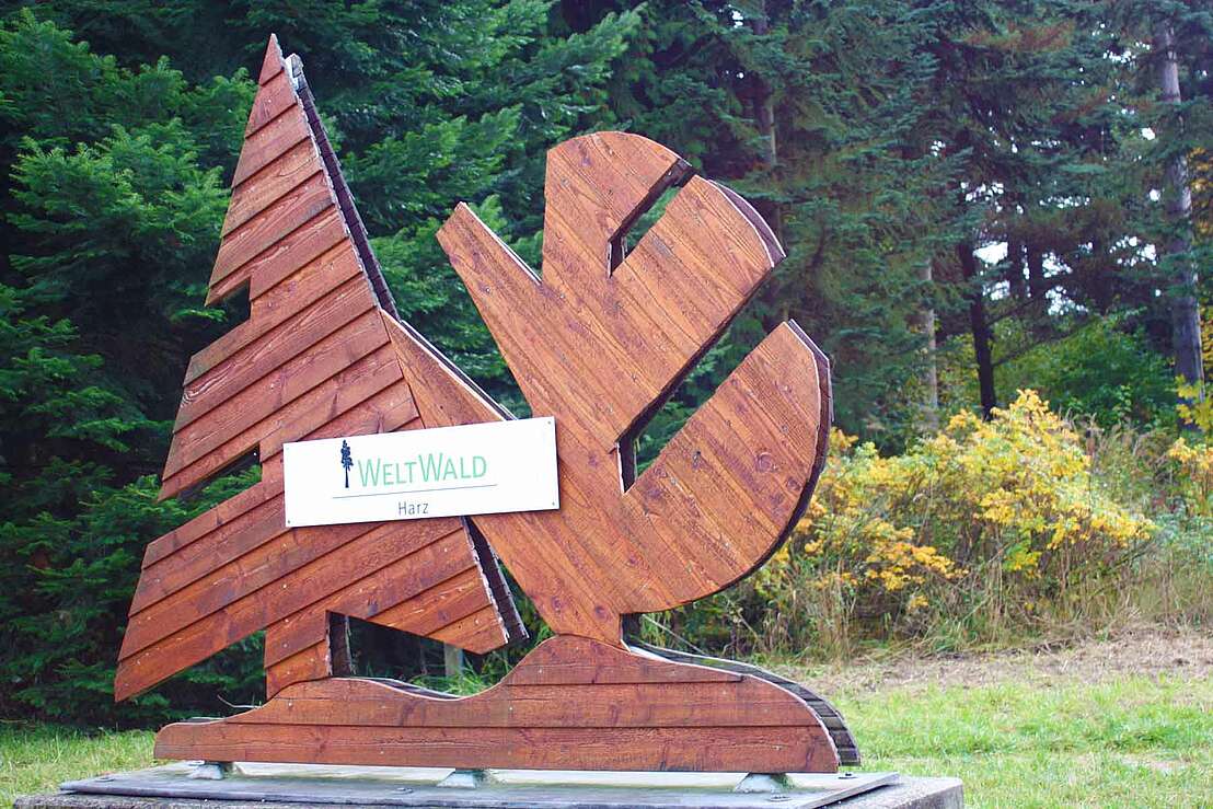 Weltwald Bad Grund © Burkhard Achilles - CC BY-SA 4.0 Deed