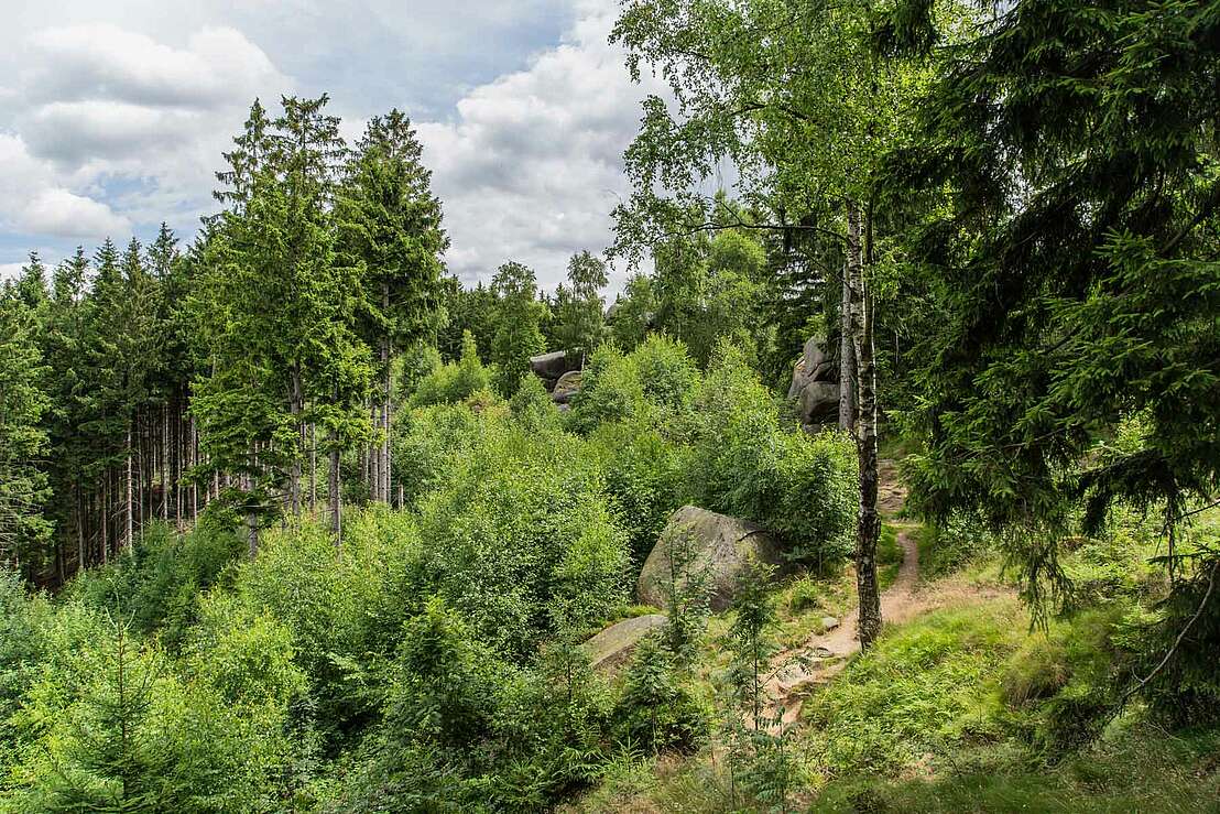 Wanderpfad auf den Huthberg