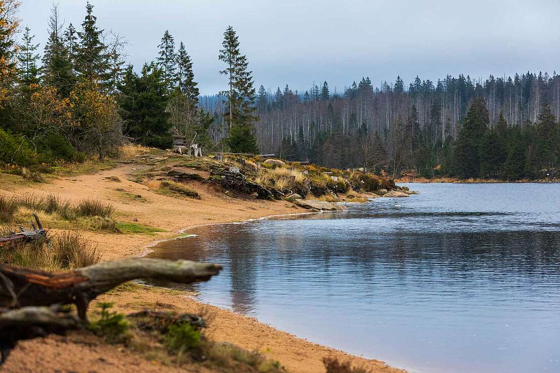 Oderteich bei St. Andreasberg