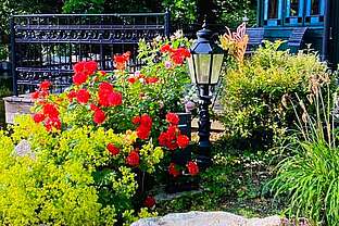 Am Gartenteich