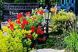Am Gartenteich